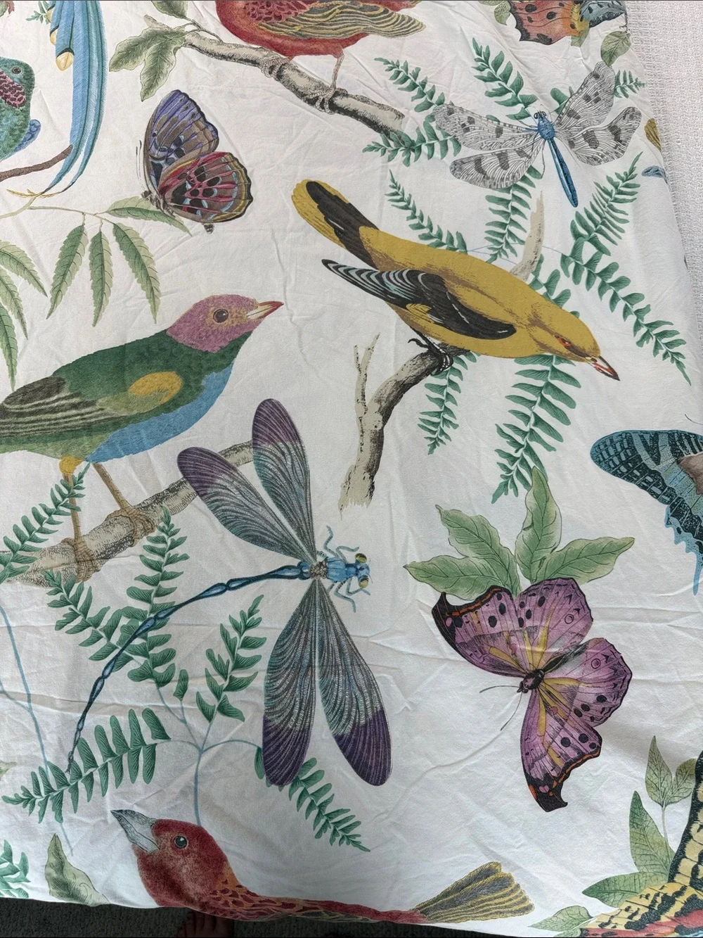 Pottery Barn Fauna Bird Percale Duvet Cover